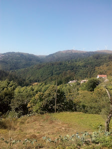 Photo 1 de Passos