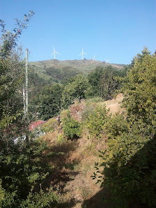 Photo 2 de Passos
