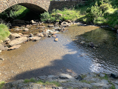 Photo 1 de Coma de Ransol