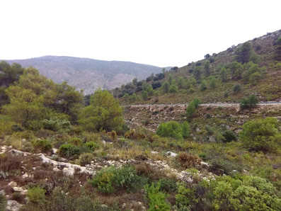 Photo 3 de Puerto de Tollos
