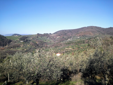 Photo 1 de Monte Albano