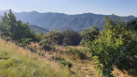 Photo 1 de Col de la Croix de Millet