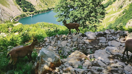 Photo 3 de Lago delle Rovine