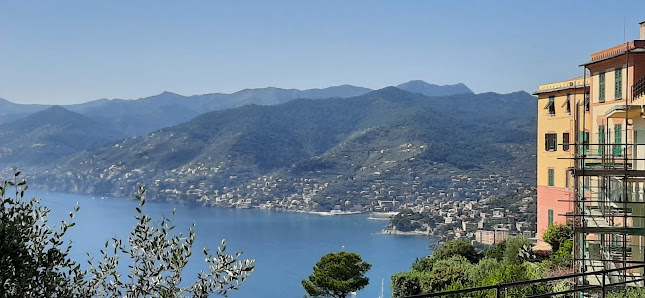 Photo 1 de Ruta di Camogli