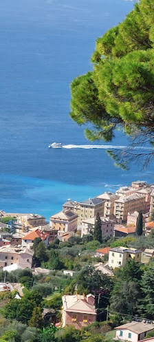 Photo 2 de Ruta di Camogli