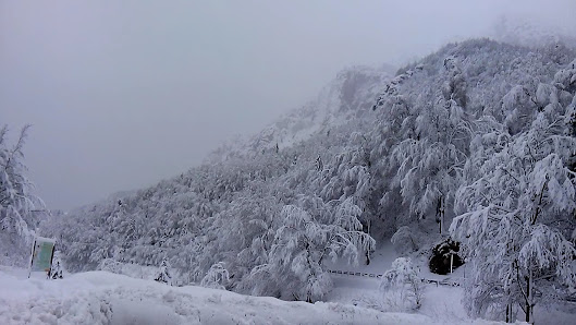 Photo 3 de Passo Pian Delle Fugazze