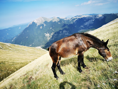 Photo 1 de Passo Serra Sant'Antonio
