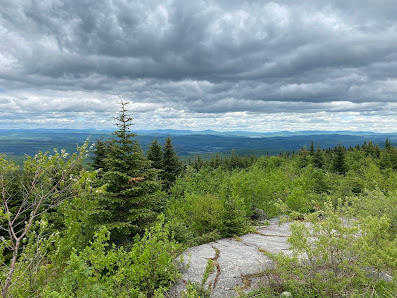 Photo 1 de Mount Hereford