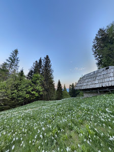 Photo 2 de Javorniški Rovt