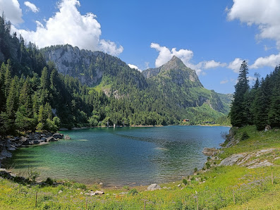 Photo 1 de Lac de Tanay