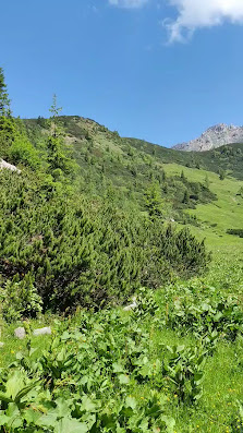 Photo 3 de Passo Cason di Lanza