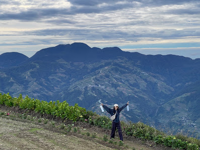 Photo 1 de Mount Timbak
