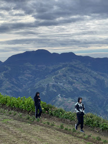 Photo 3 de Mount Timbak