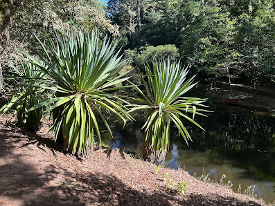 Photo 2 de Serra do Buçaco