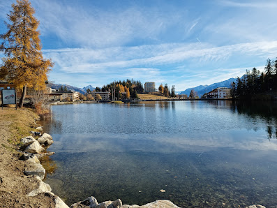 Photo 1 de Montana Village
