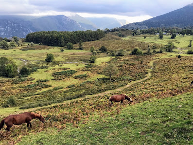 Photo 2 de Col du Porteigt