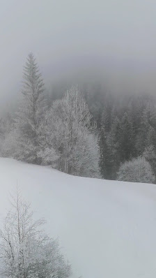 Photo 3 de Arvenbuel (Amden)