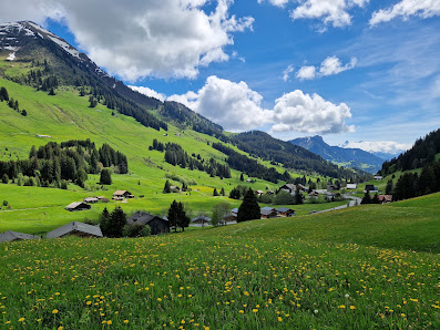 Photo 1 de Col des Mosses