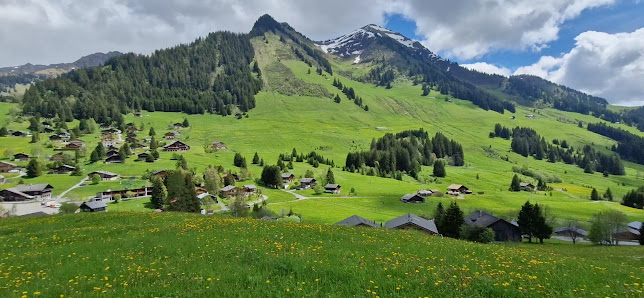 Photo 3 de Col des Mosses