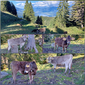 Photo 2 de Glaubenbühlpass