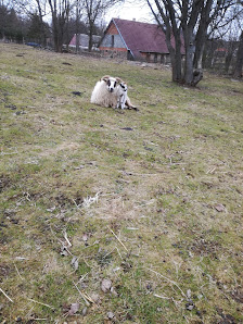 Photo 1 de Májůvka
