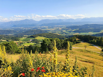 Photo 2 de Magdalensberg