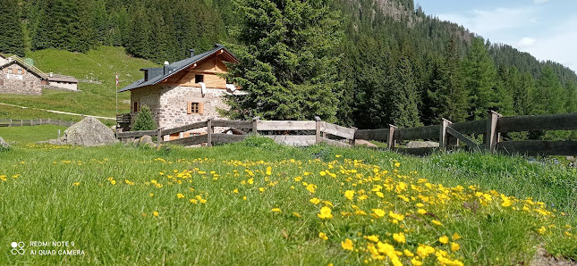 Photo 1 de Rifugio Baita Monte Cauriol