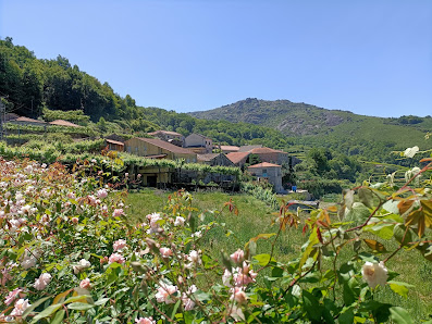 Photo 2 de Germil