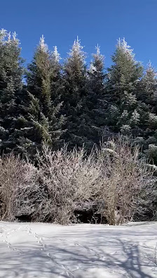 Photo 1 de Pugnetolo
