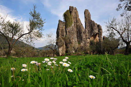 Photo 1 de Campo Soriano