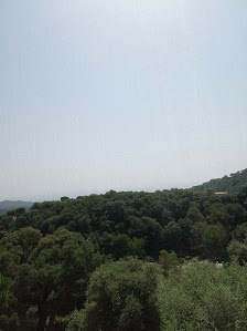 Photo 2 de Turó de la Rovira