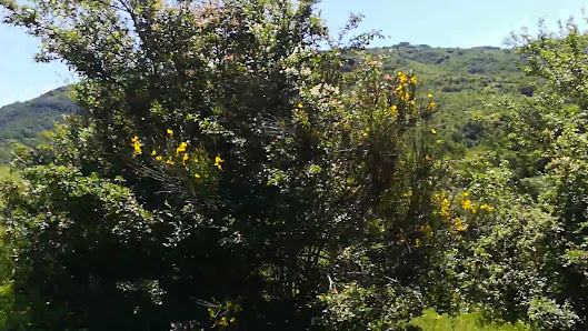 Photo 3 de Orvinio