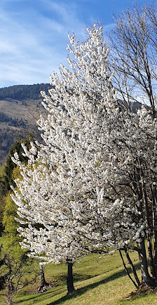 Photo 2 de Hudi Graben