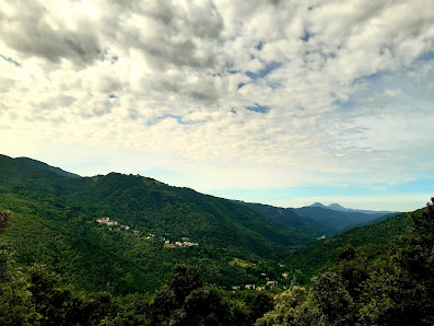 Photo 2 de Bruschi di Sopra