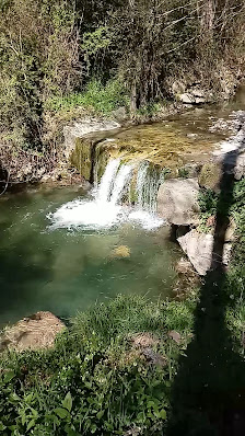 Photo 3 de Campora