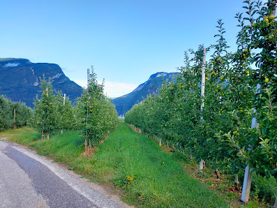 Photo 1 de Campodenno