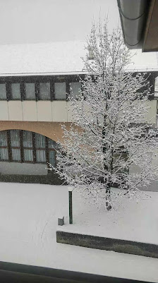 Photo 3 de Campodenno