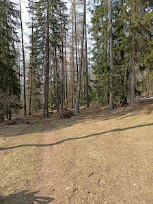 Photo 1 de San Lugano