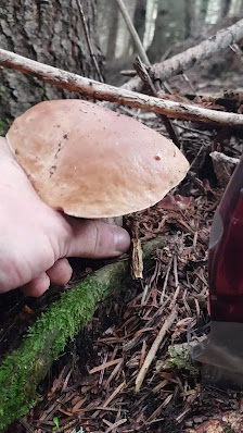 Photo 2 de San Lugano