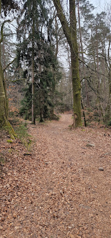 Photo 1 de Col du Pfaffenschlick