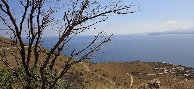 Photo 2 de Coll del Frare