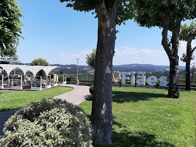 Photo 1 de Fiães