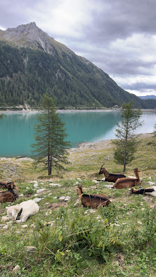 Photo 2 de Lago di Neves
