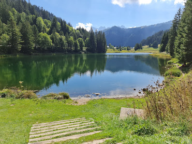 Photo 1 de Pas de Morgins (Route Forestiere)