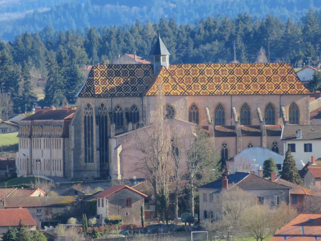 Apperçu du toît de l'église Saint-Martin, à Ambierle