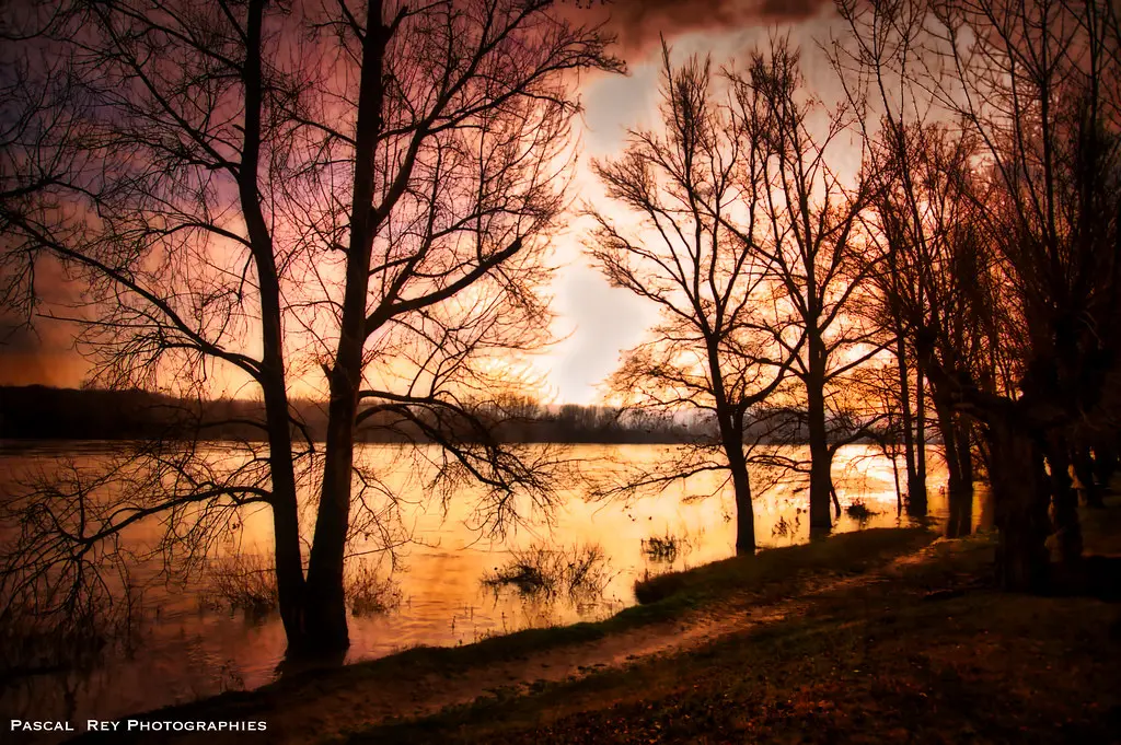 Le chemin de halage est inondé à Andance, 07. _DSC0381L_v1