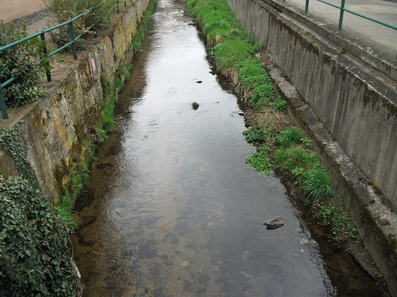 Artière à Aubière 2015-04-03