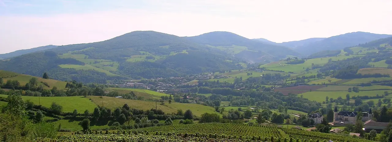 Panor chateau des ardillats + Saint-Didier-sur-Beaujeu