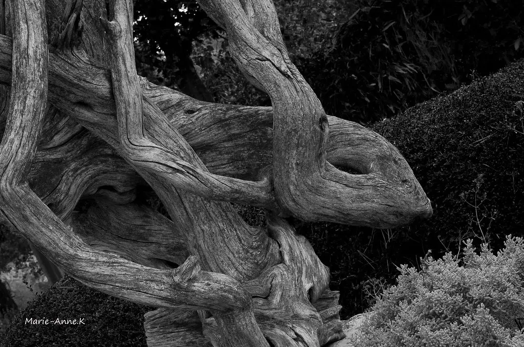 L'oeil de Beaumont-Monteux