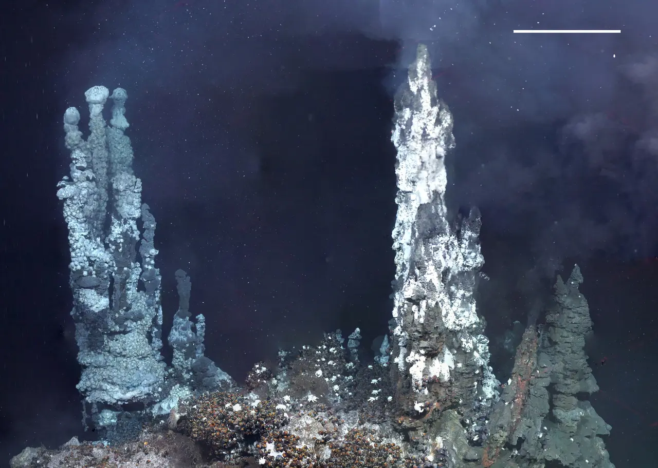 East Scotia Ridge - Plos Biol 04